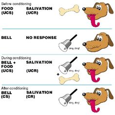 Ivan Pavlov