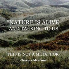 Terence McKenna