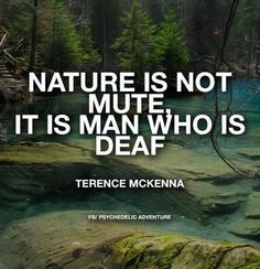 Terence McKenna