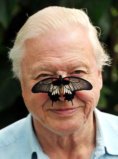 David Attenborough