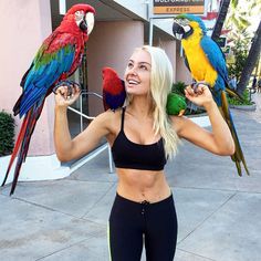 Brooke Evers