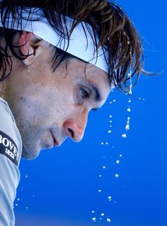 David Ferrer