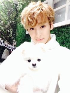 Kevin Woo