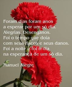 Manuel Alegre