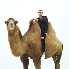 Mikolas Josef