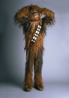 Peter Mayhew