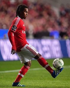 Renato Sanches