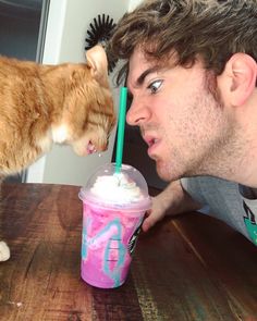 Shane Dawson