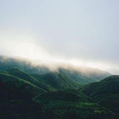 Takashi Yasui