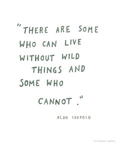 Aldo Leopold