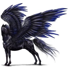 Black Pegasus