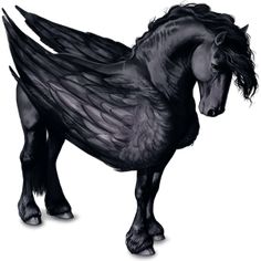 Black Pegasus