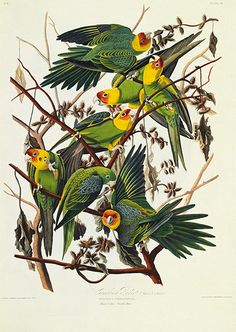 John James Audubon