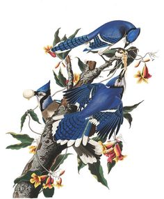 John James Audubon