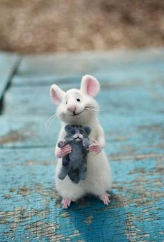 Mousie Mouse