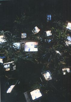 Nam June Paik