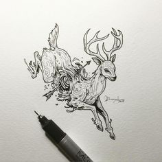 Kerby Rosanes