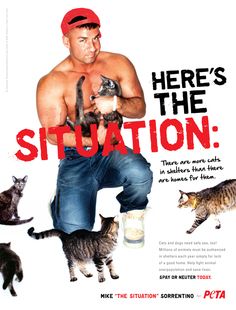 Mike 'The Situation' Sorrentino