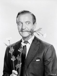 David Niven