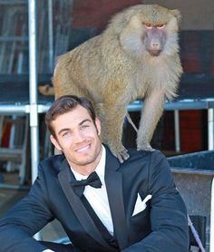 Evan Antin