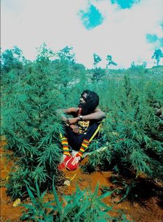 Peter Tosh