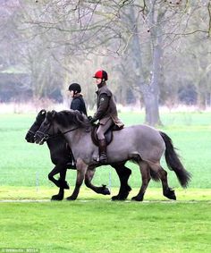 Prince Edward, Earl of Wessex