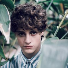 Steffan Argus