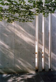 Tadao Ando