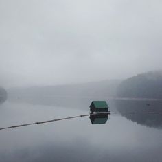 Alex Strohl