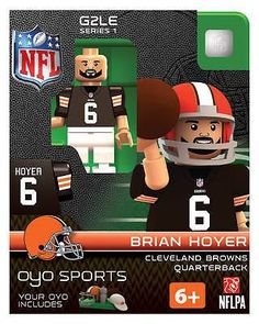 Brian Hoyer