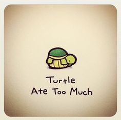 xTurtle