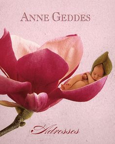 Anne Geddes