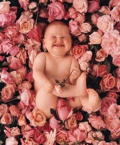 Anne Geddes