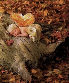 Anne Geddes