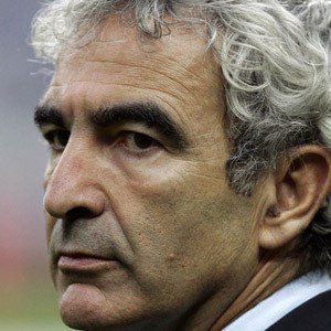 Raymond Domenech