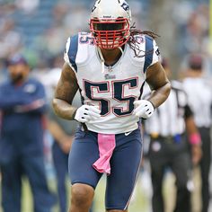 Brandon Spikes