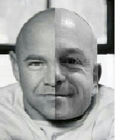 Dominic Littlewood