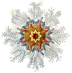 Ernst Haeckel