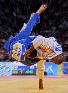 Teddy Riner