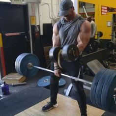 Bradley Martyn