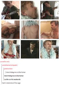 Mark Pellegrino