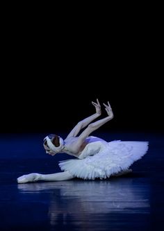 Svetlana Zakharova