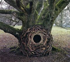 Andy Goldsworthy