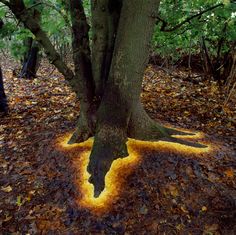 Andy Goldsworthy