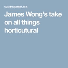 James Wong