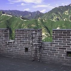 Liu Bolin