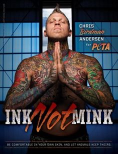 Chris Andersen