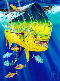 Guy Harvey