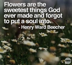 Henry Ward Beecher