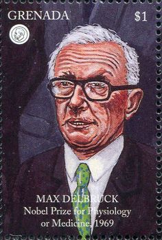 Max Delbruck